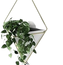 Umbra Trigg Large Hanging Planter Vase