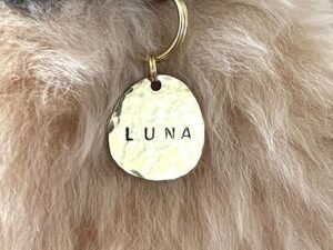 BRASS ORGANIC Shaped Hand Stamped Coin Personalized Pet ID Tags, Dog, Cat, Horse, Pig, Ferret Tags, Engraved on Both Sides