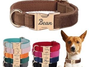 Velvet Harness Set for Dogs – Customizable Personalized Collar and Leash with Engraved Metal Buckle, Gift for Pet Owners (X-Small)