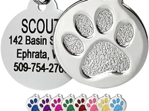 GoTags Paw Print Round Stainless Steel Pet Tag for Dogs and Cats, Personalized with 4 Lines of Custom Engraved ID with Silencer, in Stainless Steel and 15 Colors Small and Large, Silver